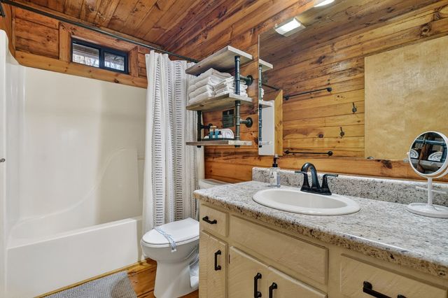 488 Joanne Sisson Road, Blue Ridge, GA 30513