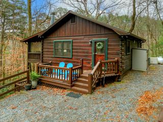 488 Joanne Sisson Road, Blue Ridge, GA 30513