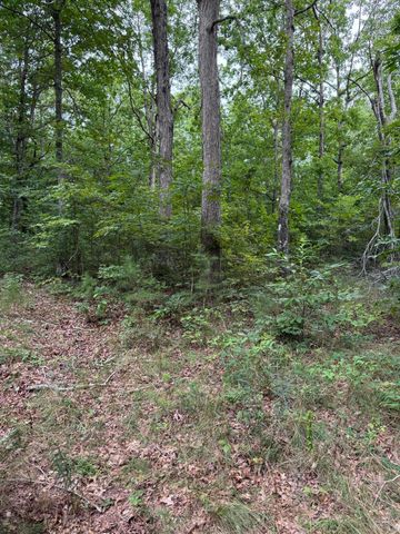 0 Tatum Gulf Road, Menlo, GA 30731