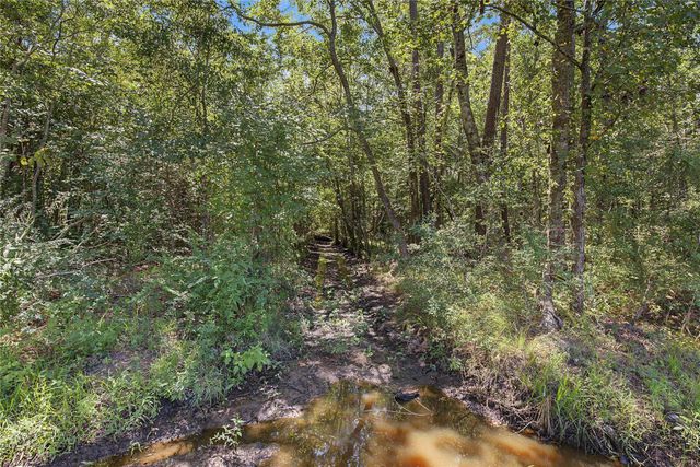 TBD Barfield Drive, Shepherd, TX 77371