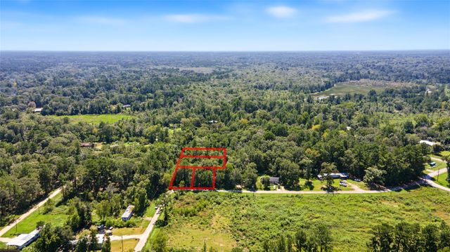 TBD Barfield Drive, Shepherd, TX 77371
