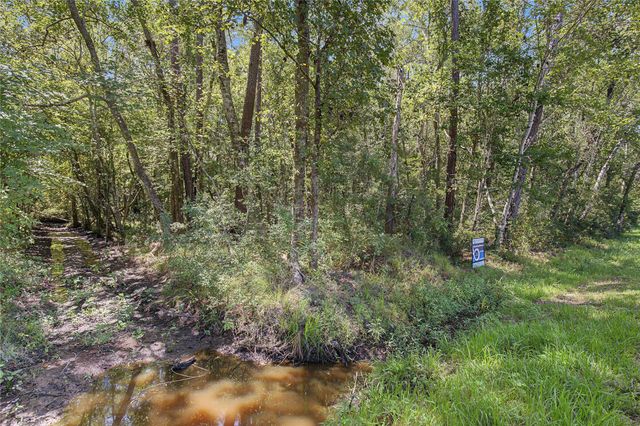 TBD Barfield Drive, Shepherd, TX 77371