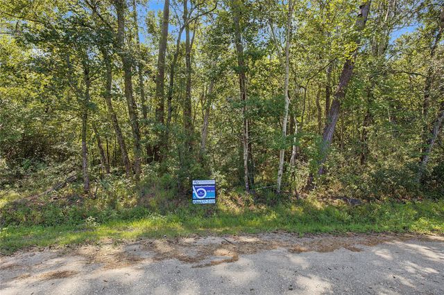 TBD Barfield Drive, Shepherd, TX 77371
