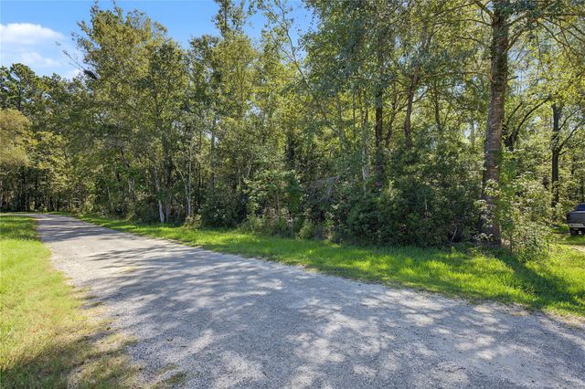 TBD Barfield Drive, Shepherd, TX 77371