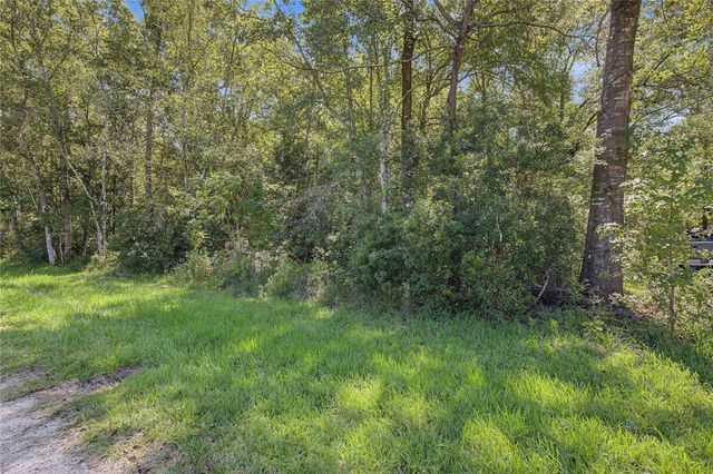 TBD Barfield Drive, Shepherd, TX 77371