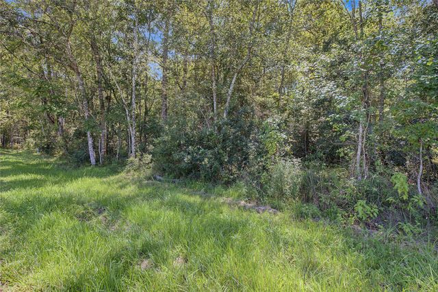TBD Barfield Drive, Shepherd, TX 77371