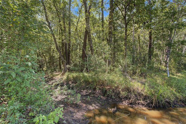 TBD Barfield Drive, Shepherd, TX 77371