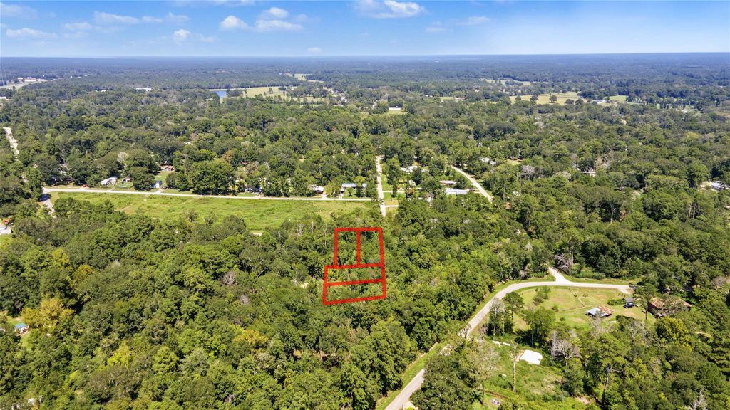 TBD Barfield Drive, Shepherd, TX 77371