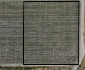 0 Mile 17 1/2 N, Elsa, TX 78538
