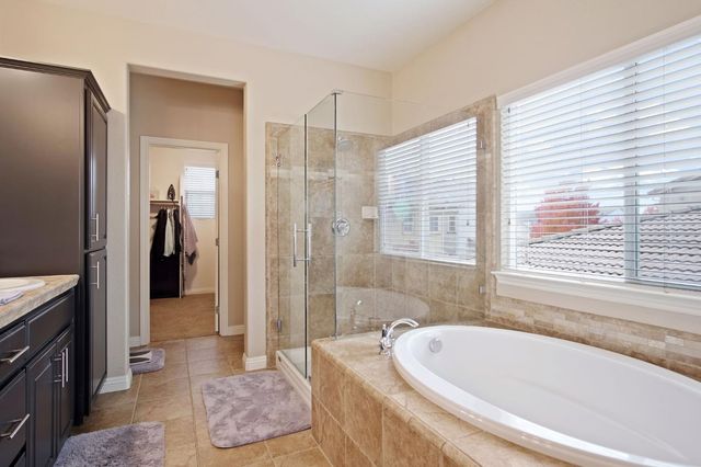 4245 Silver Lupine Dr, Turlock, CA 95382