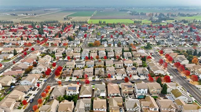 4245 Silver Lupine Dr, Turlock, CA 95382