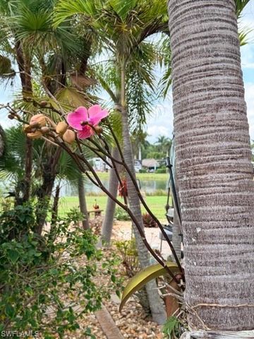 5222 Pineland Daisy TRL, Fort Myers, FL 33905