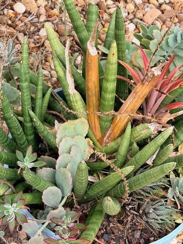 5222 Pineland Daisy TRL, Fort Myers, FL 33905