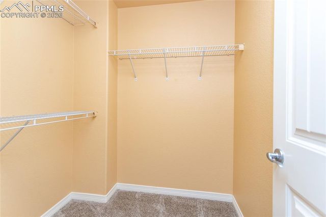 7160 Red Cardinal Loop, Colorado Springs, CO 80908