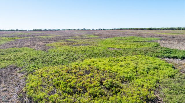 TBD Lot 25 County Road 497, Anson, TX 79501