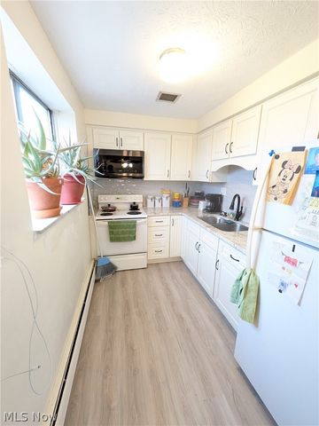 1480 Warren 604, Lakewood, OH 44107