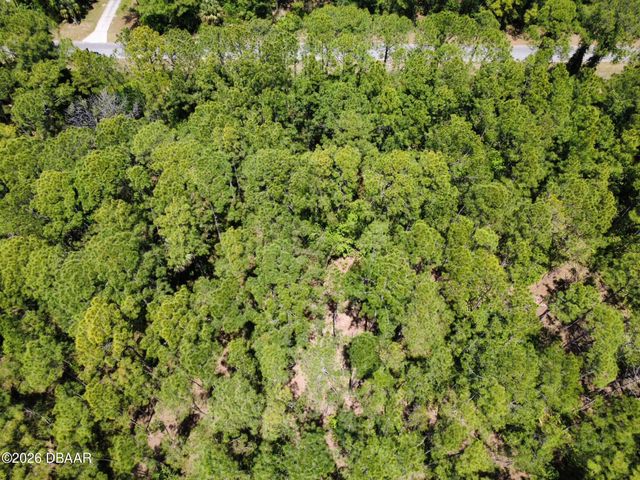 0 Apricot Avenue, Eustis, FL 32736