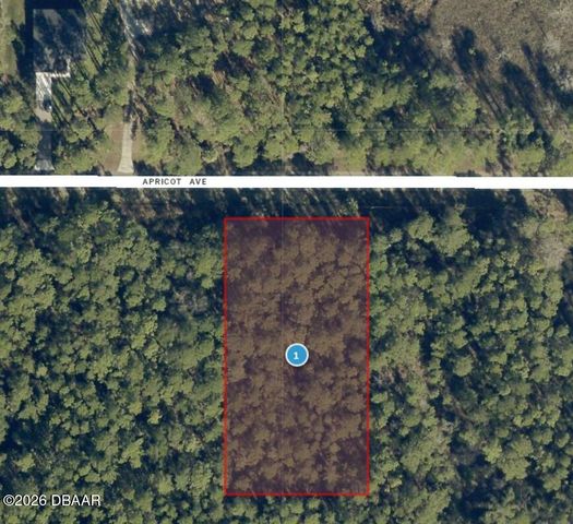 0 Apricot Avenue, Eustis, FL 32736