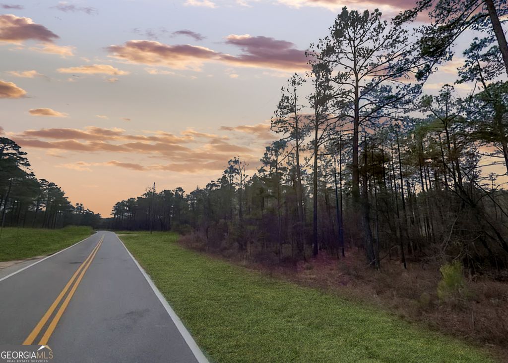 0 Evans Mill Circle, Roberta, GA 31078