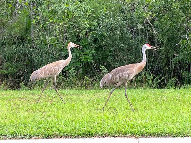 117 LAKESIDE Court, Bunnell, FL 32110