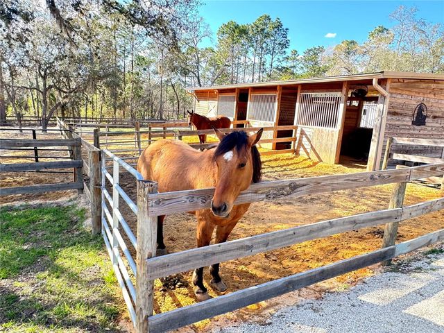 4911 N VALLEY TERRACE, Beverly Hills, FL 34465