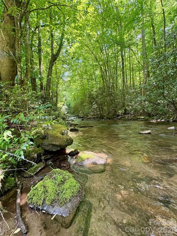0 Alarka Road 48, Bryson City, NC 28713