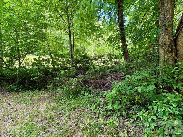 0 Alarka Road 48, Bryson City, NC 28713