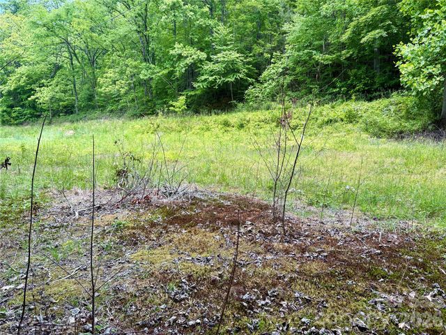 0 Alarka Road 48, Bryson City, NC 28713