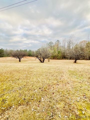 2555 Elbethel, Fayette, AL 35555