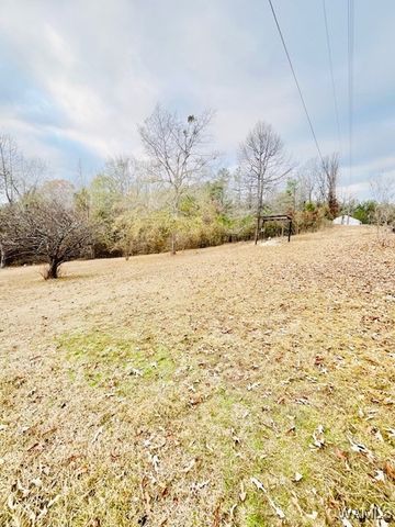 2555 Elbethel, Fayette, AL 35555