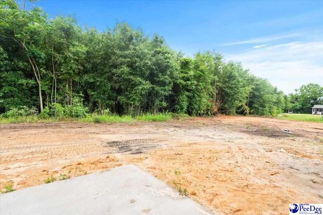 1507 E Home Avenue, Hartsville, SC 29550
