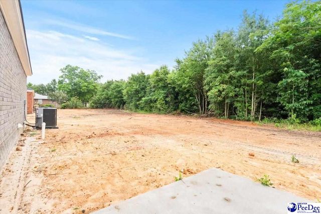 1507 E Home Avenue, Hartsville, SC 29550