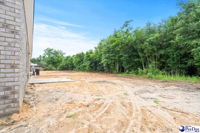 1507 E Home Avenue, Hartsville, SC 29550