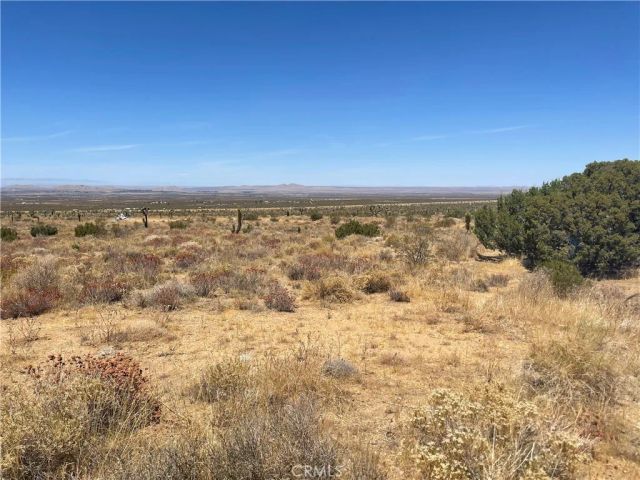 0 Vac Fort Tejon Drt Vic, Llano, CA 93544