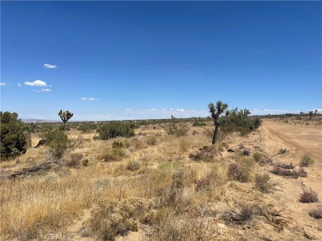 0 Vac Fort Tejon Drt Vic, Llano, CA 93544