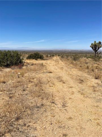 0 Vac Fort Tejon Drt Vic, Llano, CA 93544
