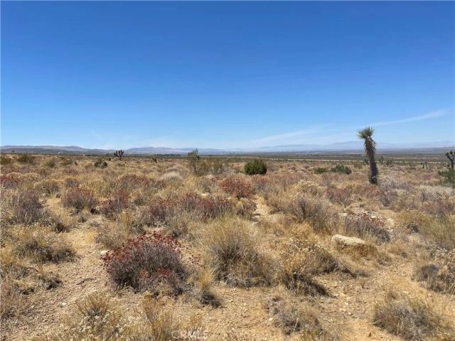 0 Vac Fort Tejon Drt Vic, Llano, CA 93544