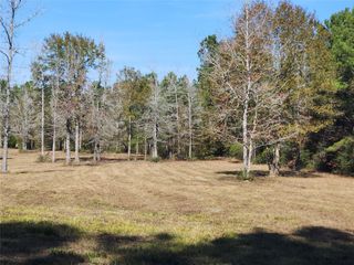 0 Bailey Grove Road, Montgomery, TX 77356