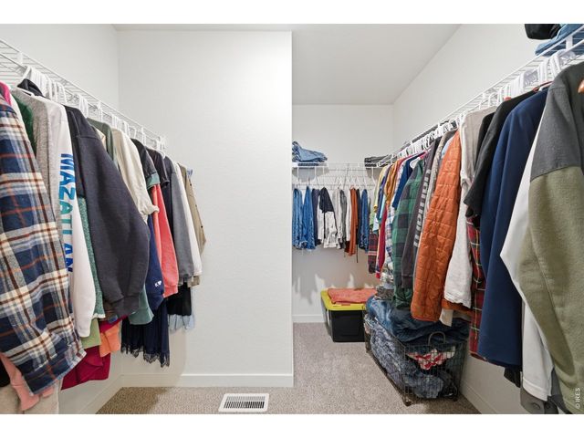 3901 Cascades St, Evans, CO 80620