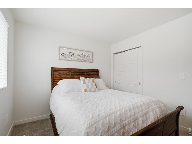 3901 Cascades St, Evans, CO 80620