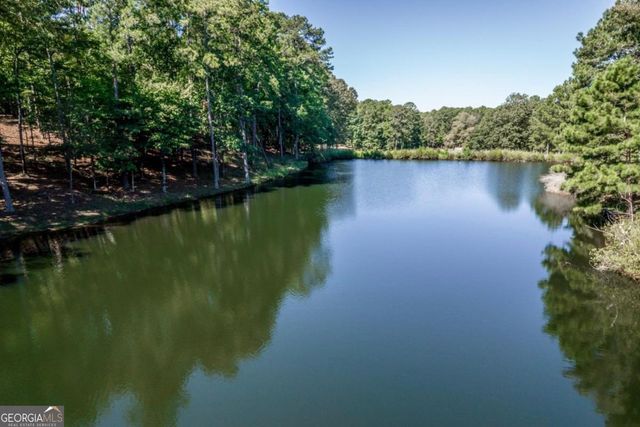 1091 Maple Ridge Way, Greensboro, GA 30642