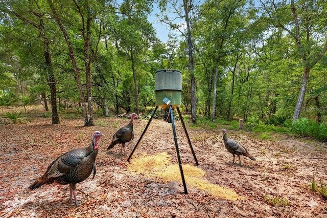 5390 EAST AVENUE, De Leon Springs, FL 32130