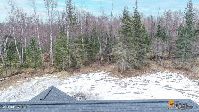 14337 W Peak Circle, Big Lake, AK 99652