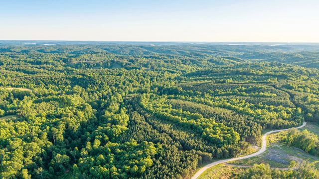 0 Cox Hollow Rd Lot 6, Dover, TN 37058