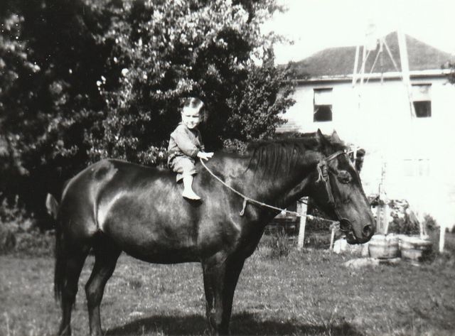 317 E Glenwood Street, Springfield, MO 65807