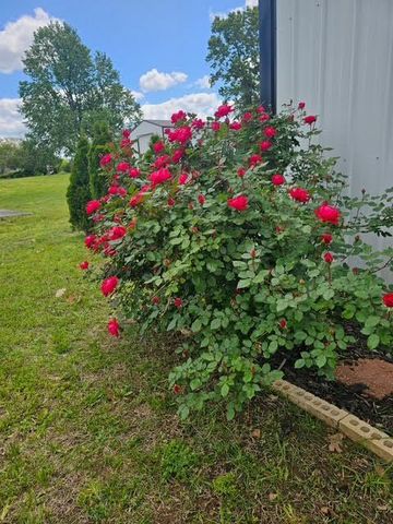 410 White Oak Drive, El Dorado Springs, MO 64744