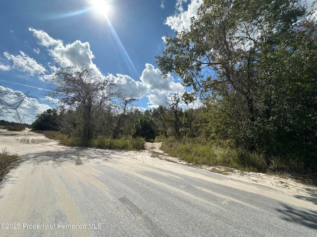 0 Dusky Warbler Road, Weeki Wachee, FL 34614
