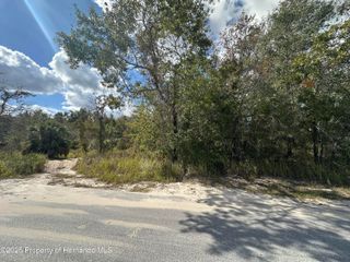 0 Dusky Warbler Road, Weeki Wachee, FL 34614