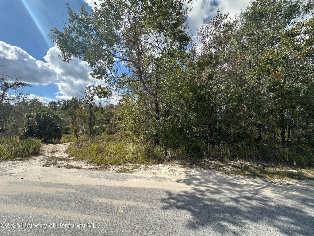 0 Dusky Warbler Road, Weeki Wachee, FL 34614