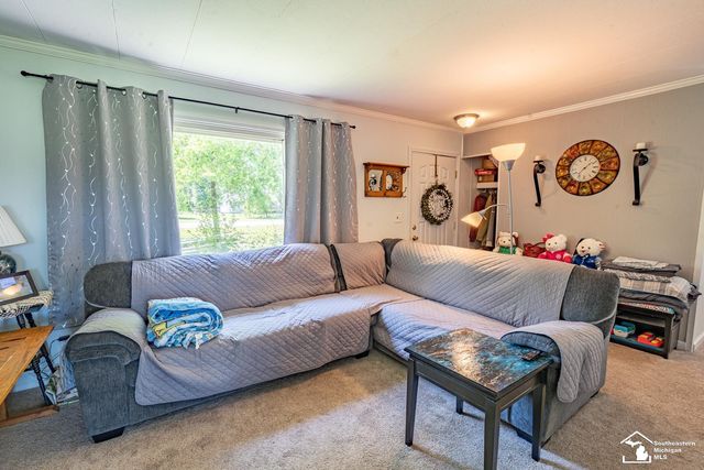 16788 Ida West Road, Summerfield Twp, MI 49270